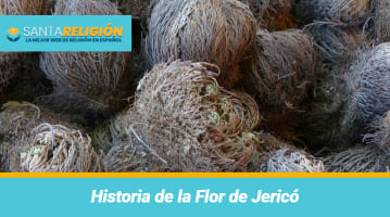 Historia de la Flor de Jericó