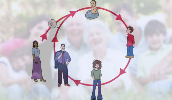 Qué se conoce cómo el ciclo vital de la familia
