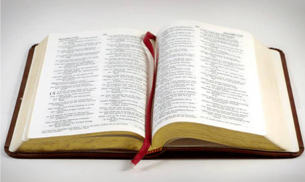Cuántos libros tiene la Biblia Cristiana Evangélica